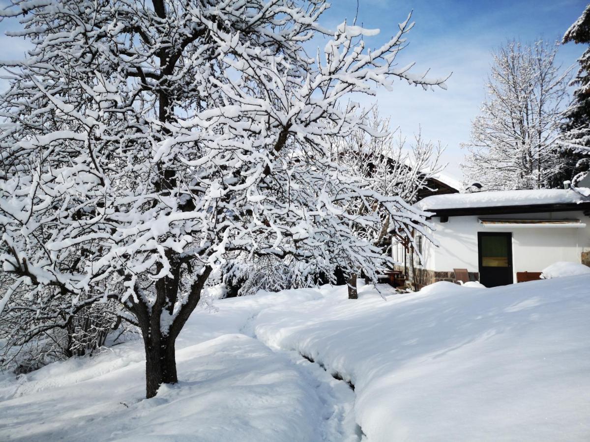 Appartchalet La Rondula Ortisei Bagian luar foto