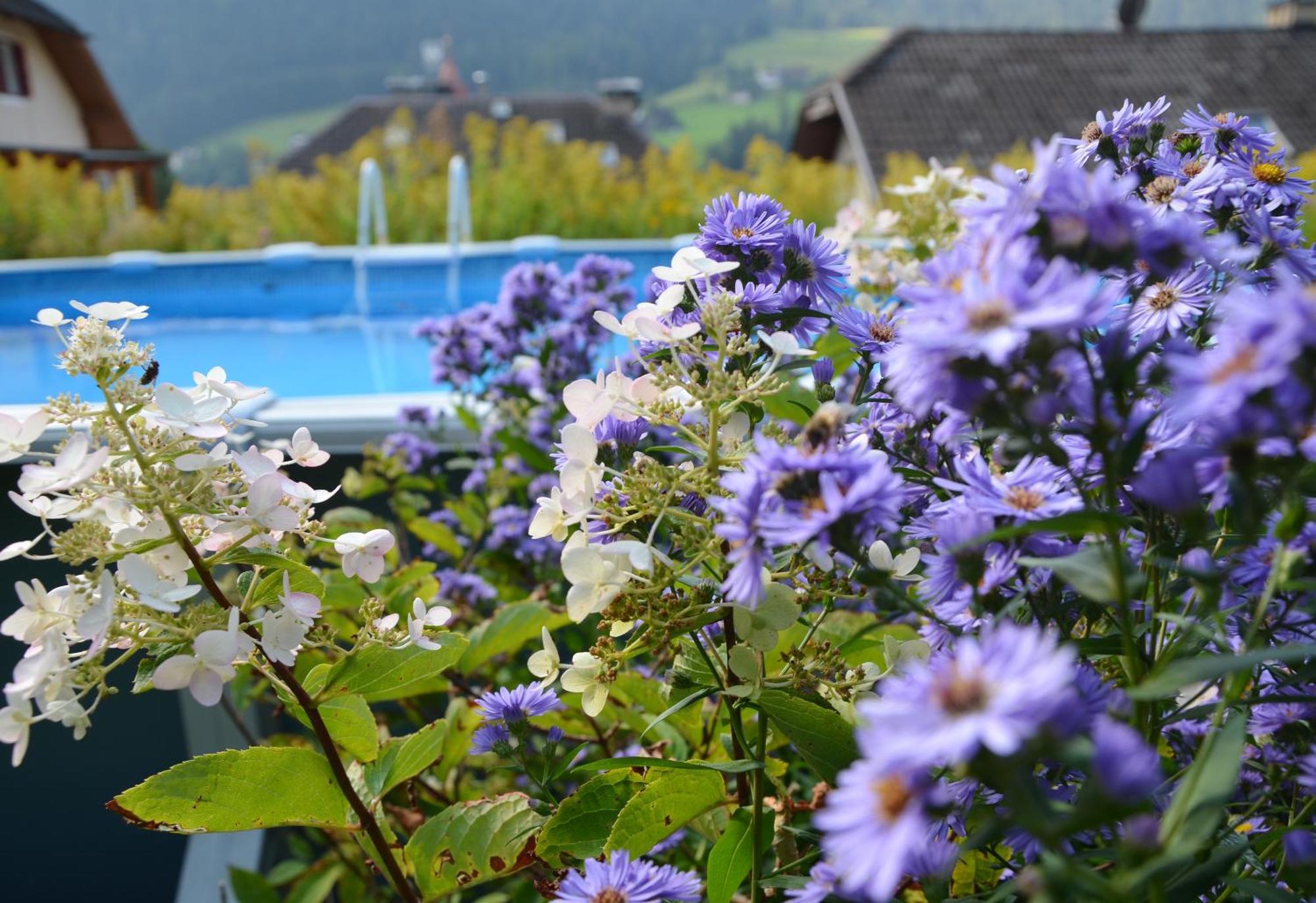 Appartchalet La Rondula Ortisei Bagian luar foto